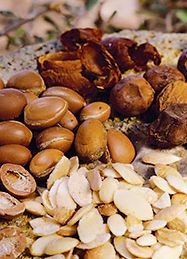 Noix d'argan séchées
