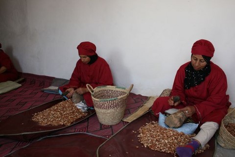 Coopérative d'huile d'argan